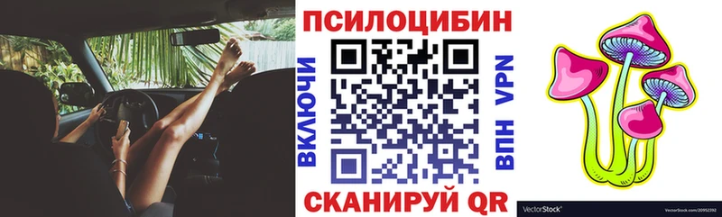 мега сайт  Почеп  Галлюциногенные грибы Psilocybine cubensis 